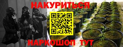 ПСИЛОЦИБИНОВЫЕ ГРИБЫ Абинск