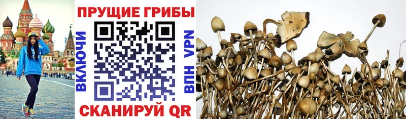 ОМГ ОМГ tor  Уварово  Галлюциногенные грибы мухоморы 
