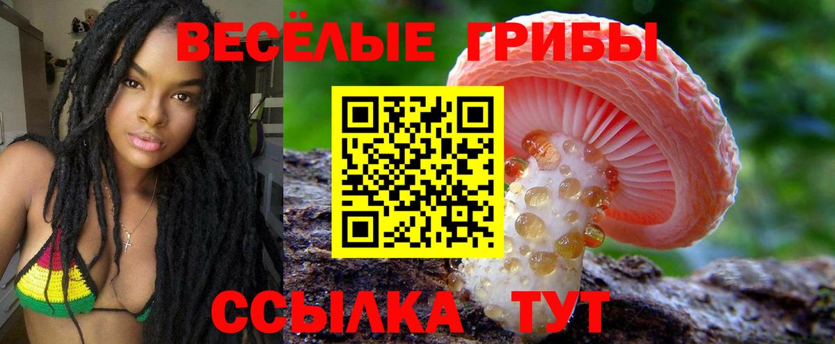 Галлюциногенные грибы прущие грибы Уварово