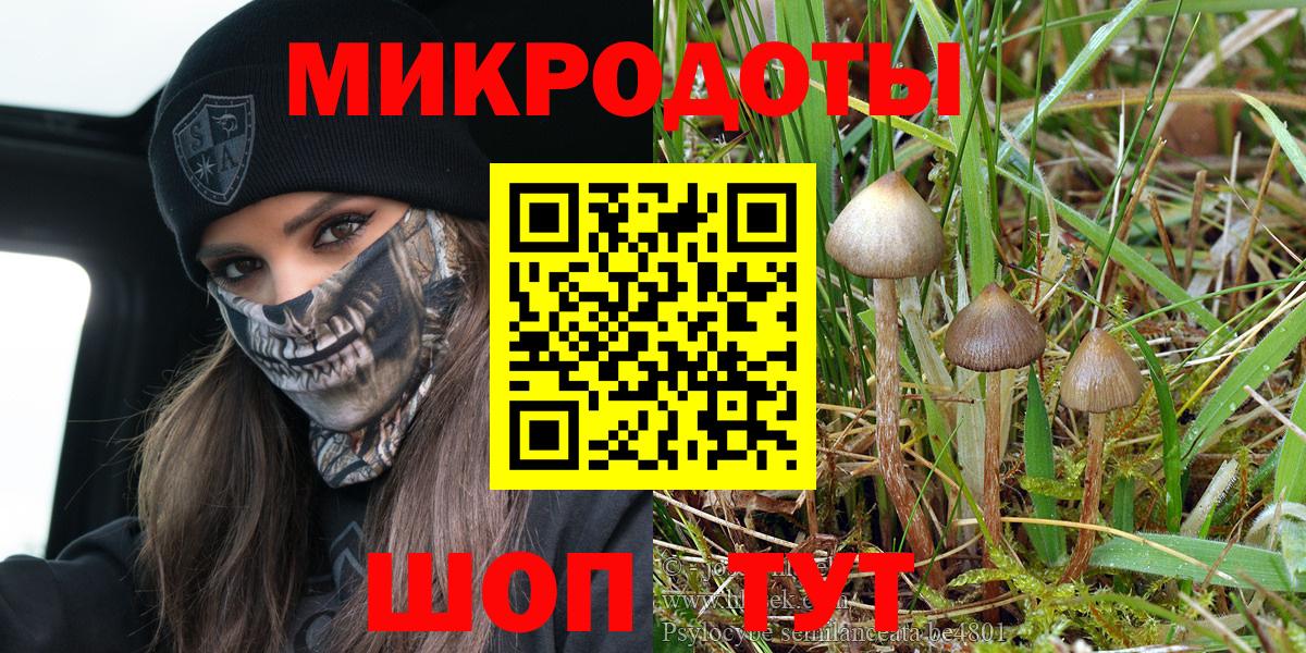 Уварово  как найти закладки  Вход с VPN  Галлюциногенные грибы Psilocybe 